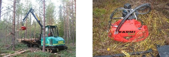 logbear_K1.jpg